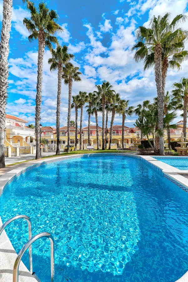 palmera-de-imagen-vertical-alrededor-piscina-vacía-con-agua-azul-dentro-urbanización-residencial-casas-lujo-modernas-contra-243790122